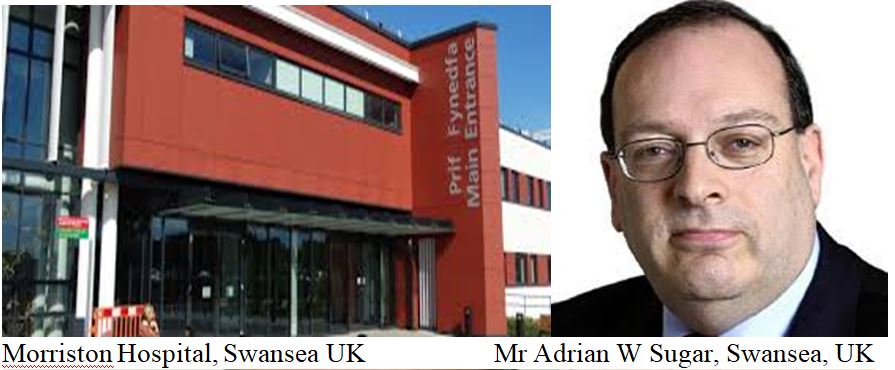International Guest Faculty