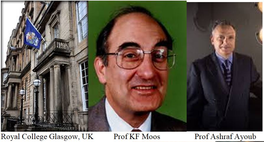 International Guest Faculty